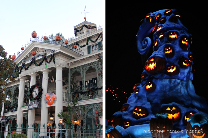Mickey's Halloween Party at Disneyland Haunted Mansion | OK Which Way