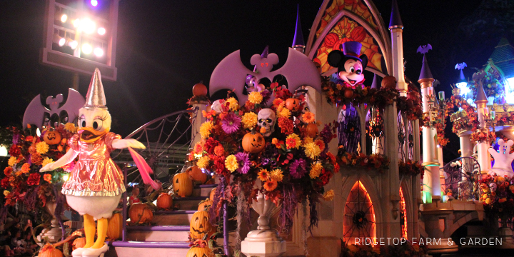 Mickey's Halloween Party at Disneyland Parade | OK Which Way