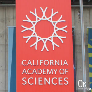 California Academy of Sciences - Road Trip Stop | OK, Which Way?