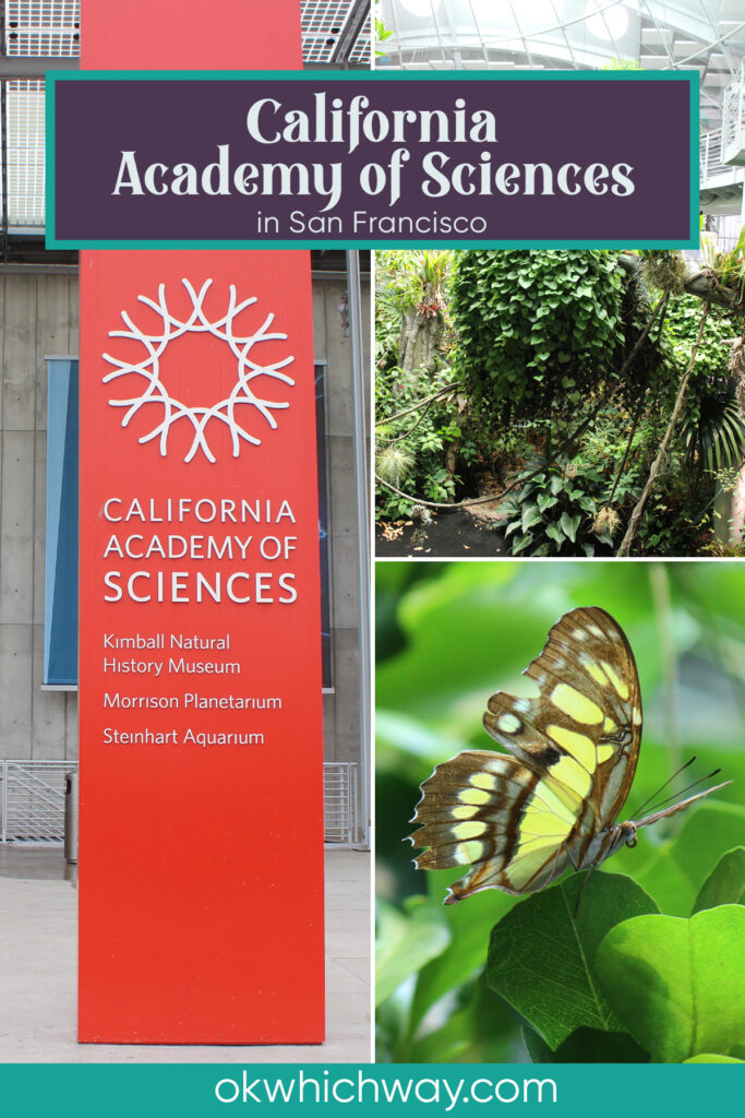 California Academy of Sciences - Road Trip Stop | Rainforest Science | OK, Which Way?
