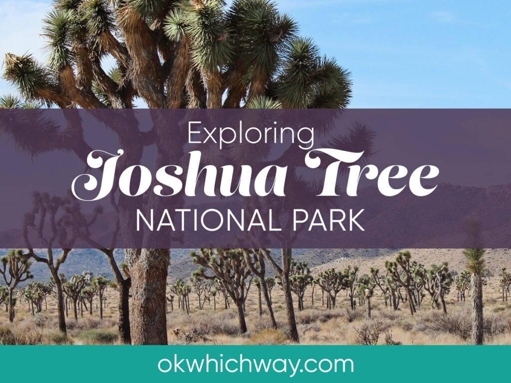 Exploring Joshua Tree National Park | OK, Which Way?