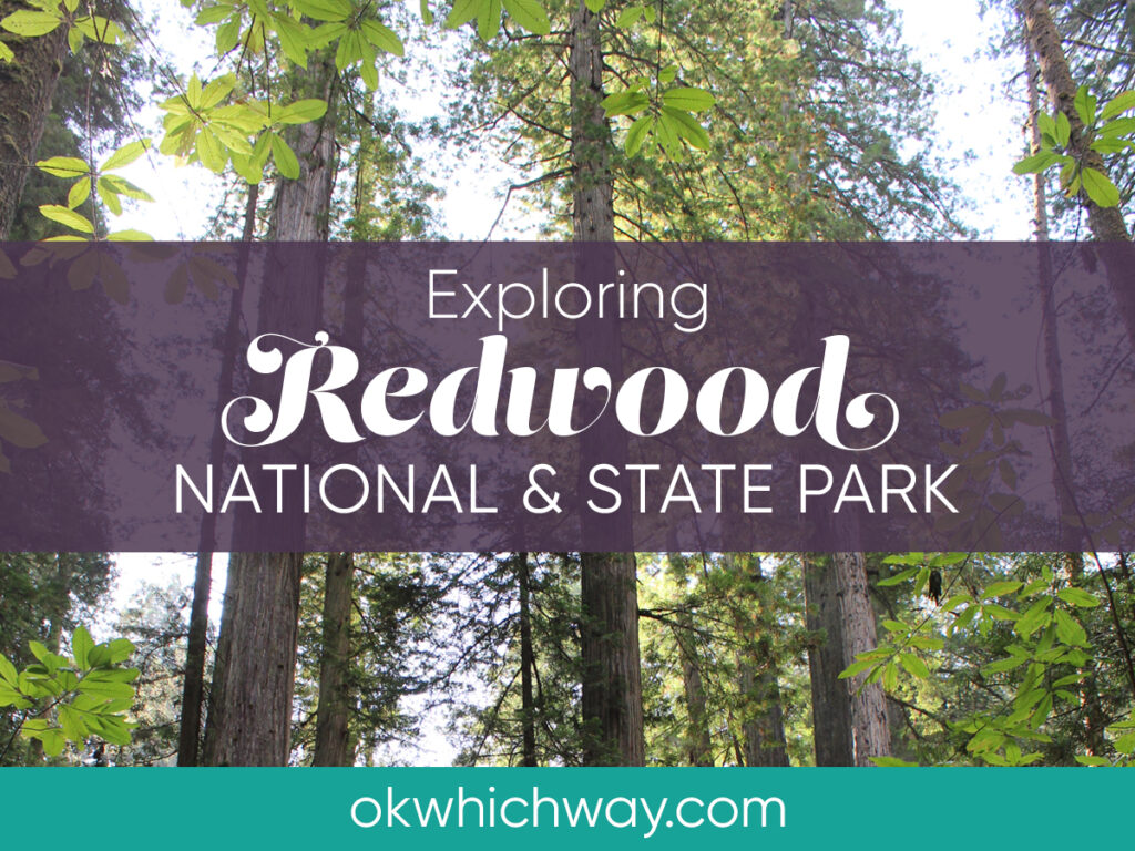 Exploring Redwood National and State Park | OK, Which Way?