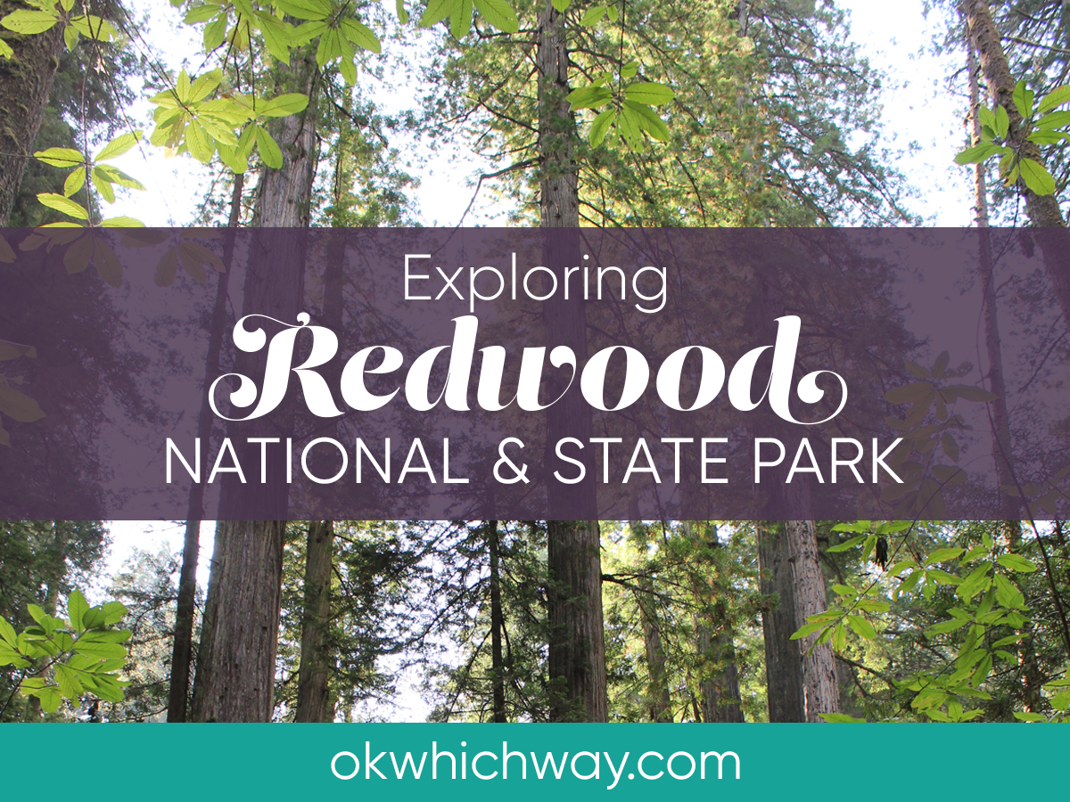 Exploring Redwood National And State Park | OK, Which Way?