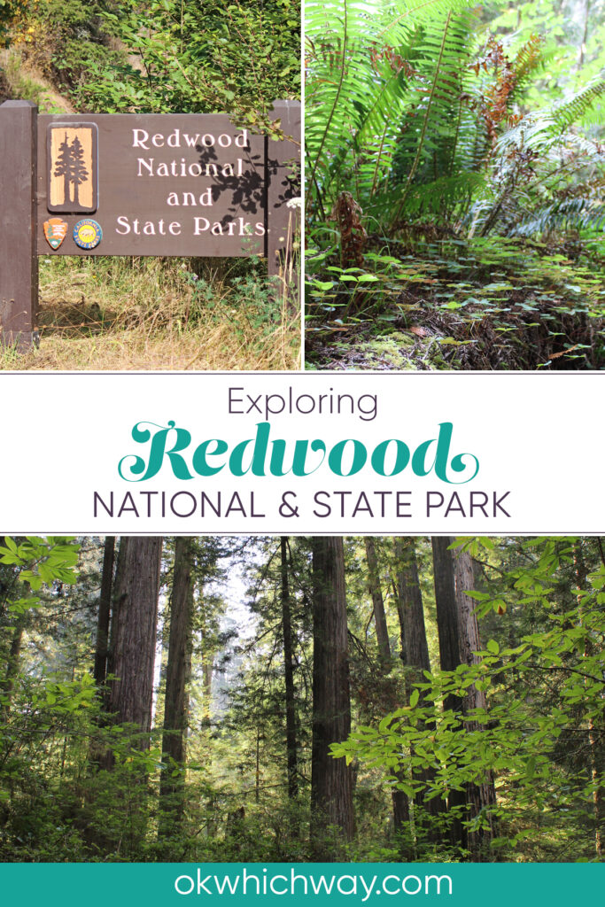 Exploring Redwood National and State Park | Radar Station B-71, hiking, beach, tourist attractions, California coast redwood | Road Trip | OK, Which Way?