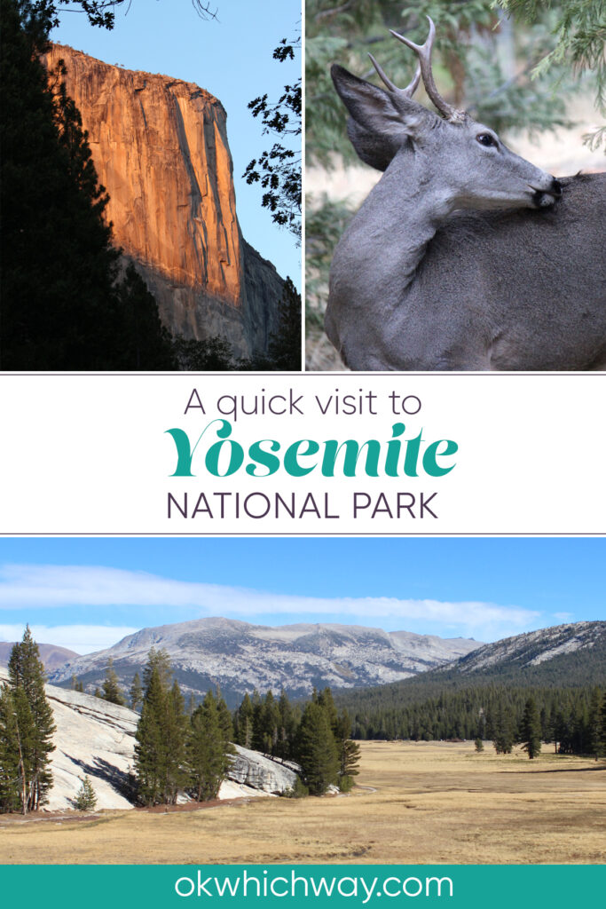 Quick Visit to Yosemite National Park | Road Trip | OK, Which Way?
