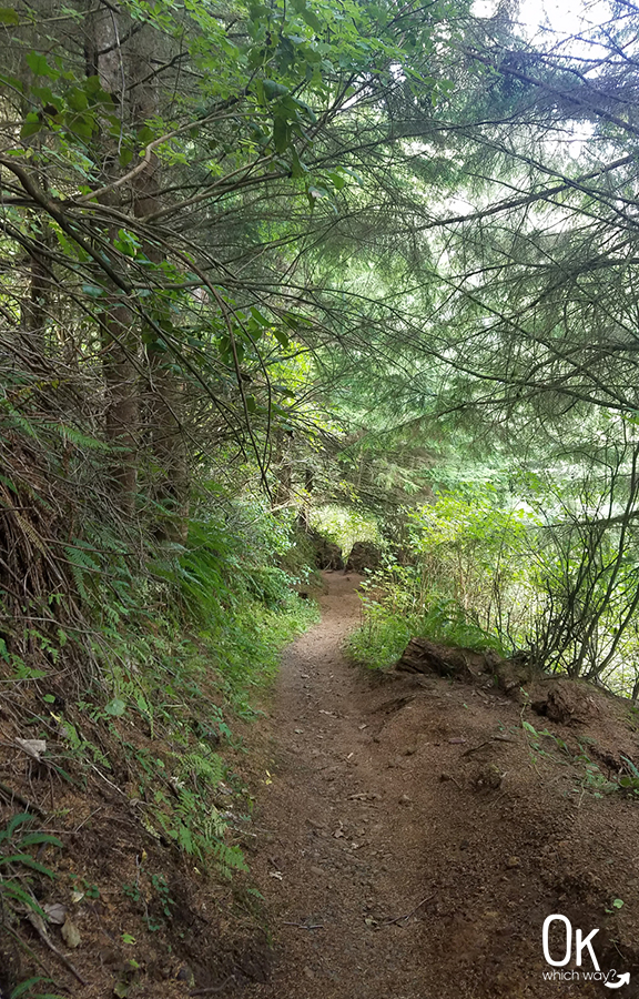 Cape Meares Beach Trail Review Oregon | OK, Which Way?