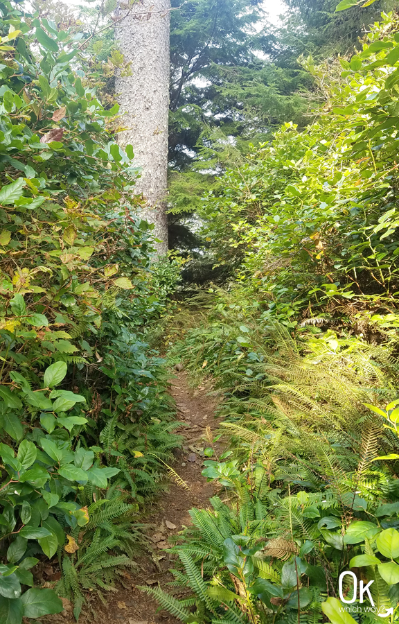 Cape Meares Beach Trail Review | OK, Which Way?