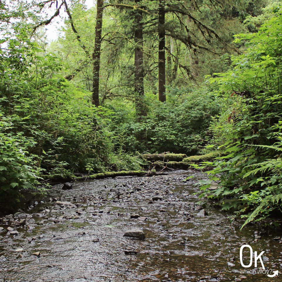 Munson Creek Tillamook Oregon | OK Which Way