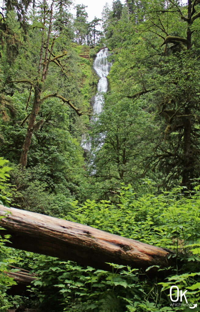 Trail Review: Munson Creek Falls in Oregon Highway 101 | OK Which Way