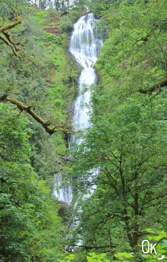 Trail Review: Munson Creek Falls in Oregon Tillamook | OK Which Way