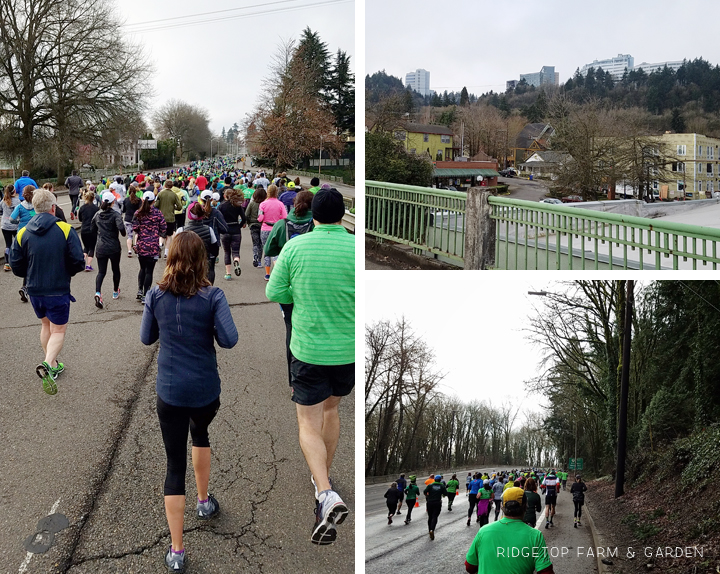 Shamrock Run Portland 15K Race Recap | OK Which Way