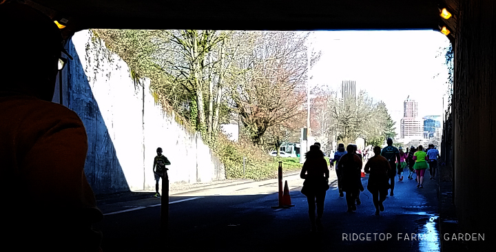 Shamrock Run Portland 15K Race Recap | OK Which Way