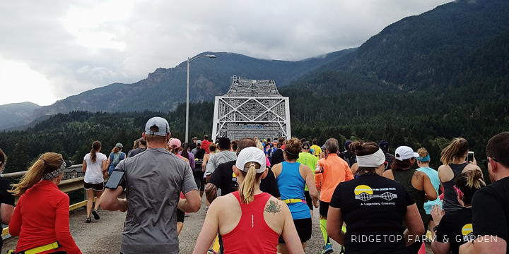 Bridge of the Gods Half Marathon Race Recap | Oregon Washington | OK Which Way