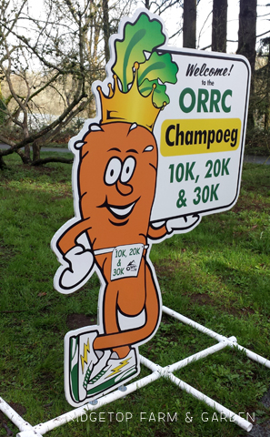 Champoeg 10K Race Recap | OK Which Way