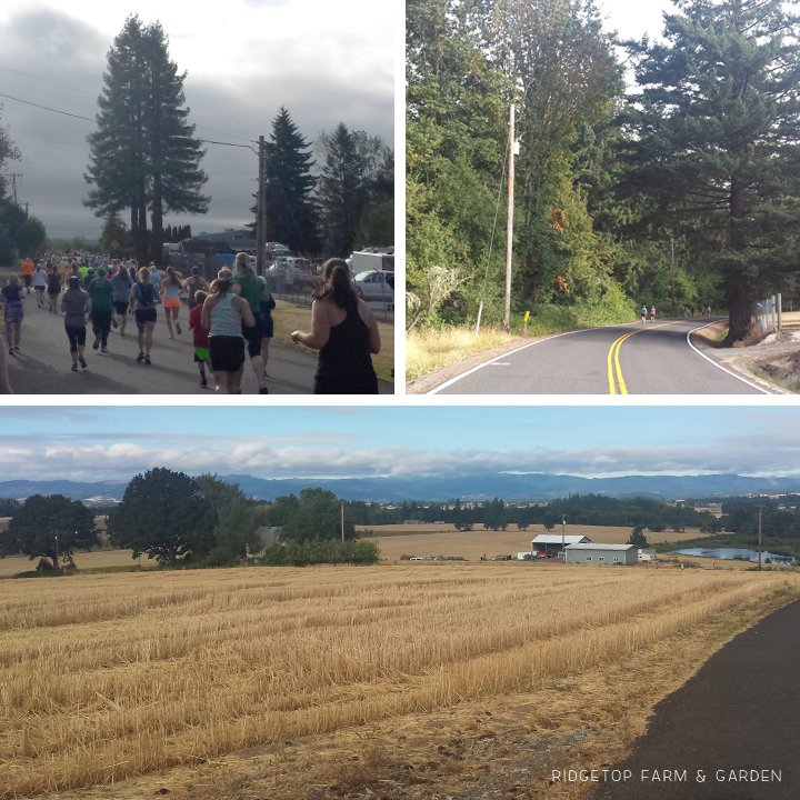 Garlic Fest 10K Race Recap in North Plains Oregon | OK Which Way