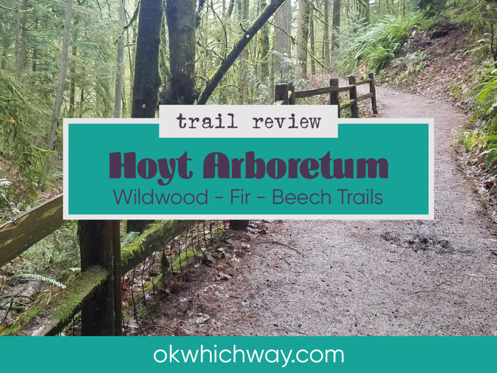 Wildwood, Fir, and Beech Trails at Hoyt Arboretum | Trail Review | Ok Which Way