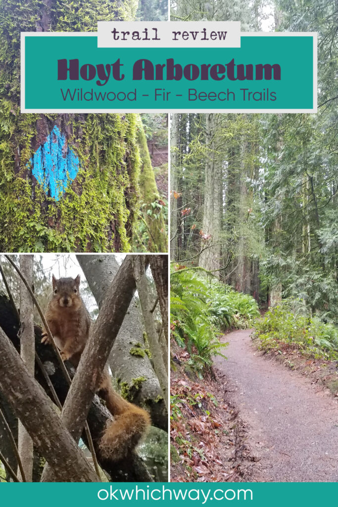 Wildwood, Fir, and Beech Trails at Hoyt Arboretum | Trail Review | Portland, Oregon | Ok Which Way