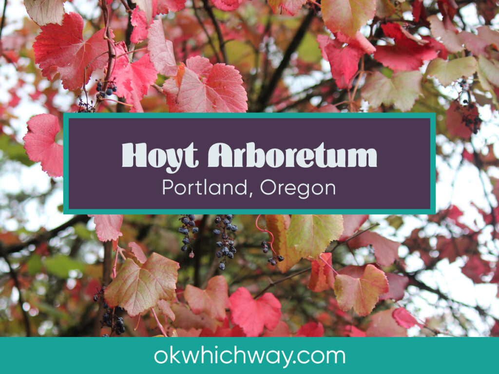 Hoyt Arboretum in Portland | OK Which Way