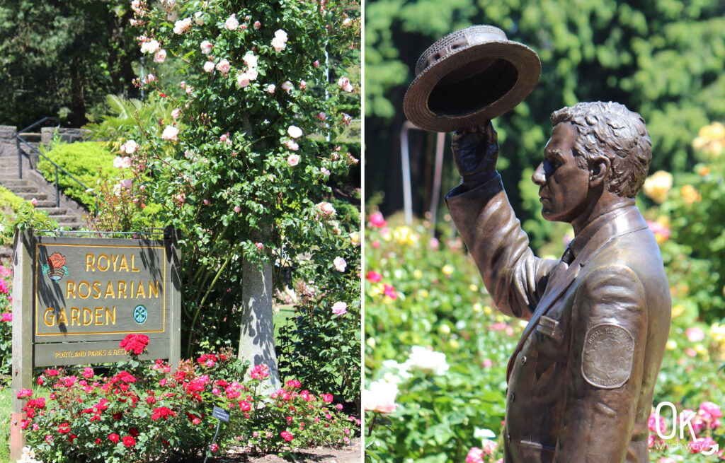 Portland Rose Garden | Royal Rosarian | OK Which Way