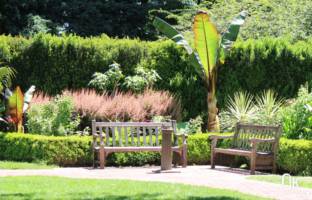 Portland Rose Garden | Shakespeare Garden | OK Which Way