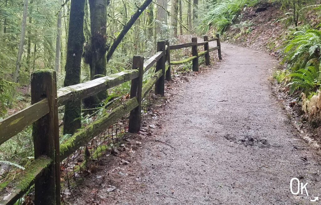 Wildwood, Fir, and Beech Trails at Hoyt Arboretum | Ok Which Way