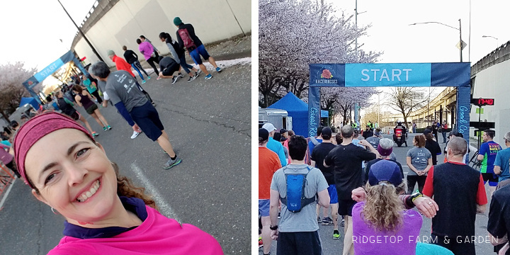 Race for the Roses 10K Recap Portland Oregon | OK Which Way