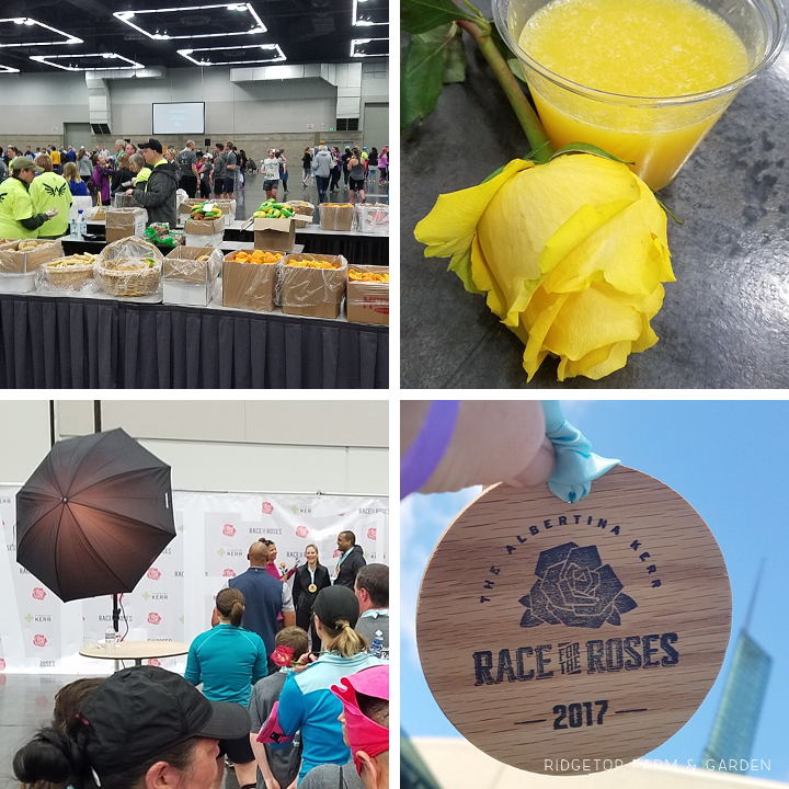 Race for the Roses 10K Recap Oregon Convention Center | OK Which Way