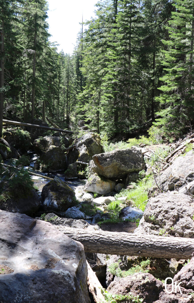 Paulina Creek Newberry Volcanic National Monument | OK Which Way