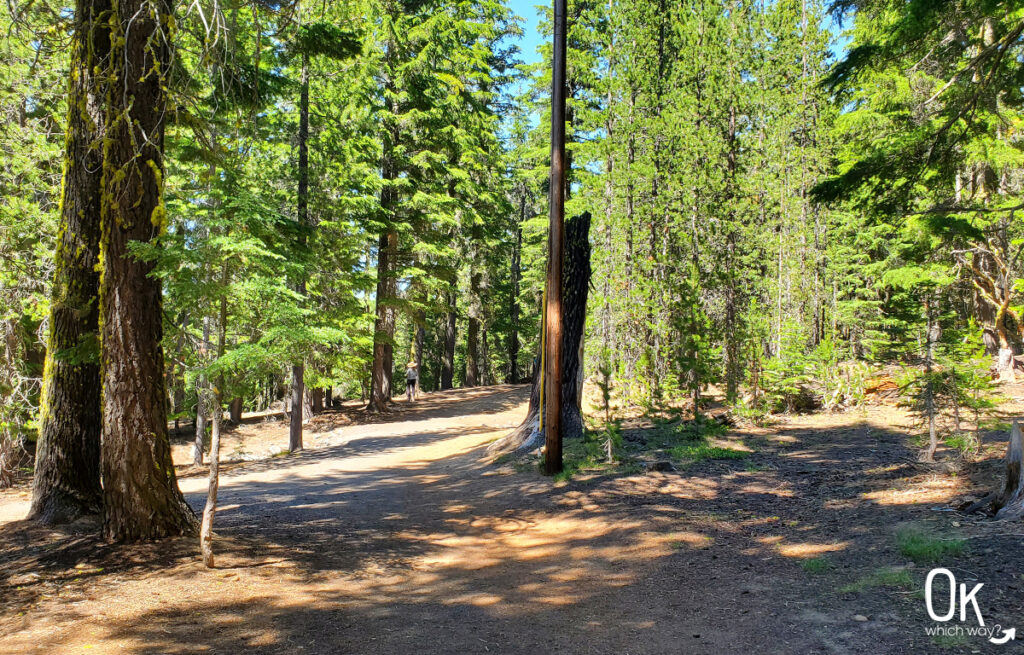 Paulina Falls Trail near Sun River | OK Which Way