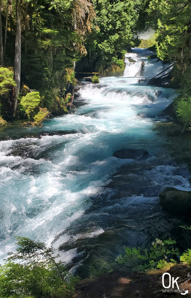 McKenzie River at Sahalie Falls | OK Which Way