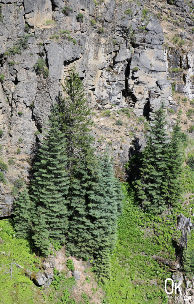 Tumalo Falls Deschutes National Forest in Oregon | OK Which Way