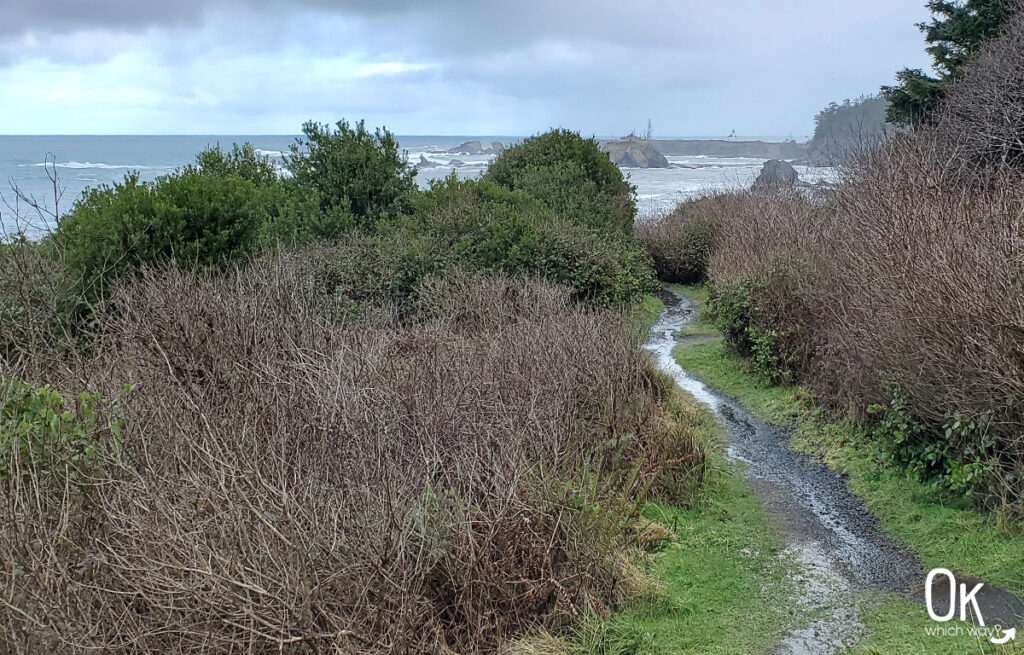 Cape Arago Lighthouse Lookout trail | OK Which Way