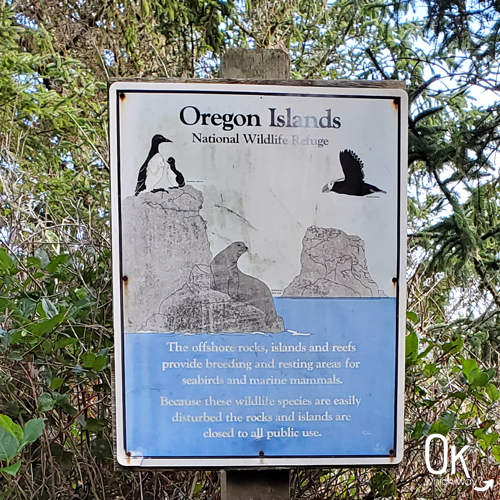 Oregon Islands National Wildlife Refuge at Cape Arago State Park | OK Which Way