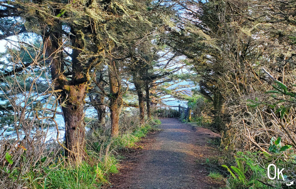 North Cove Trail at Cape Arago State Park in Oregon | OK Which Way