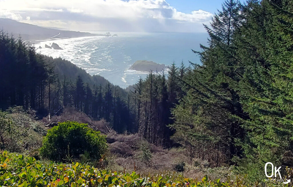 Cape Sebastian State Scenic Corridor Viewpoint in Oregon | OK Which Way