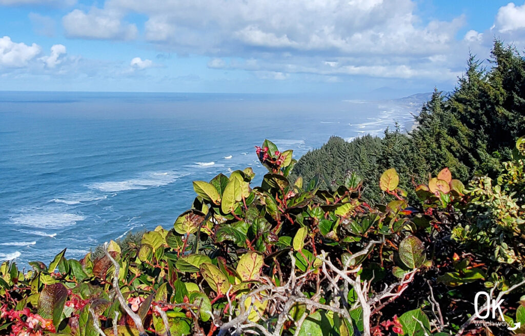 Cape Sebastian State Scenic Corridor in Oregon | OK Which Way