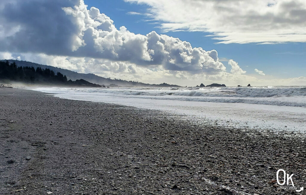 Pacific Ocean waves at Crissey Field State Recreation Site in Brookings | OK Which Way