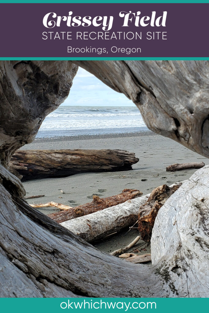 Visiting Crissey Field State Recreation Site in Brookings Oregon. Beach access. Near the California Border. OK Which Way