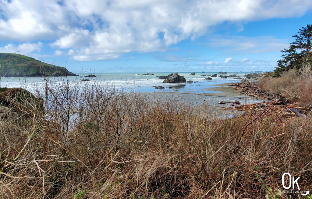 Harris Beach State Park in Southern Oregon | OK Which Way