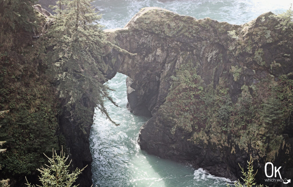 Samuel H. Boardman State Scenic Corridor near Brookings | OK Which Way