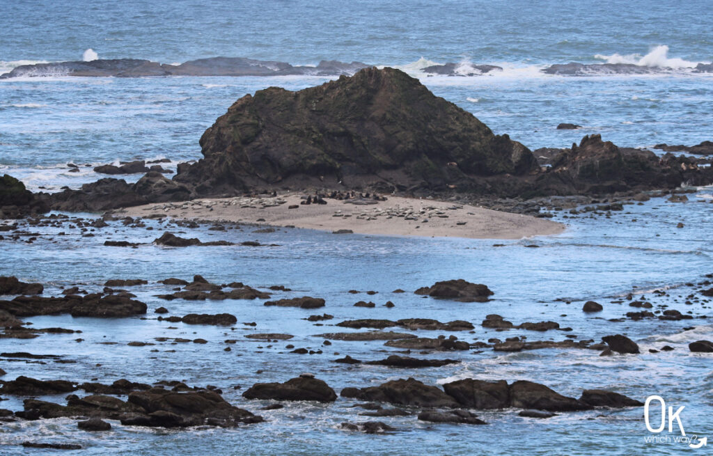 Simpson Reef at Cape Arago State Park in Oregon | OK Which Way