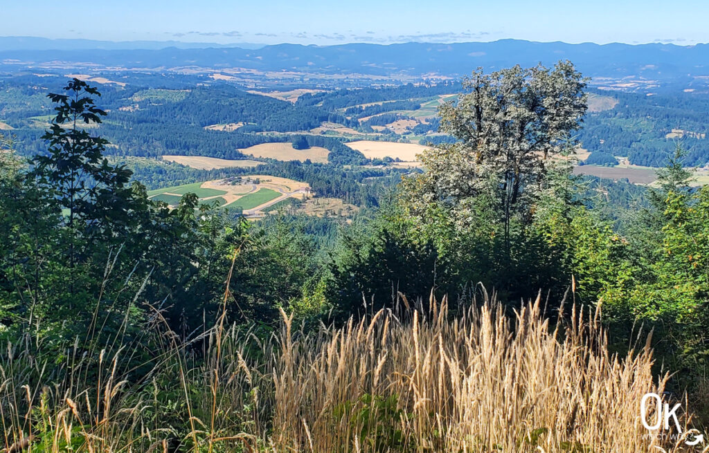 View from Bald Peak State Park near Newberg | Ok Which Way