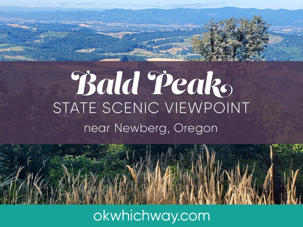 Bald Peak State Scenic Viewpoint in Oregon | Ok Which Way