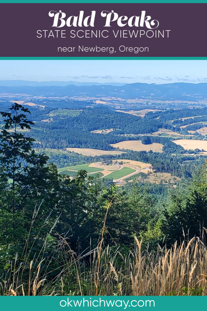 Visiting Bald Peak State Scenic Viewpoint in Oregon | Ok Which Way