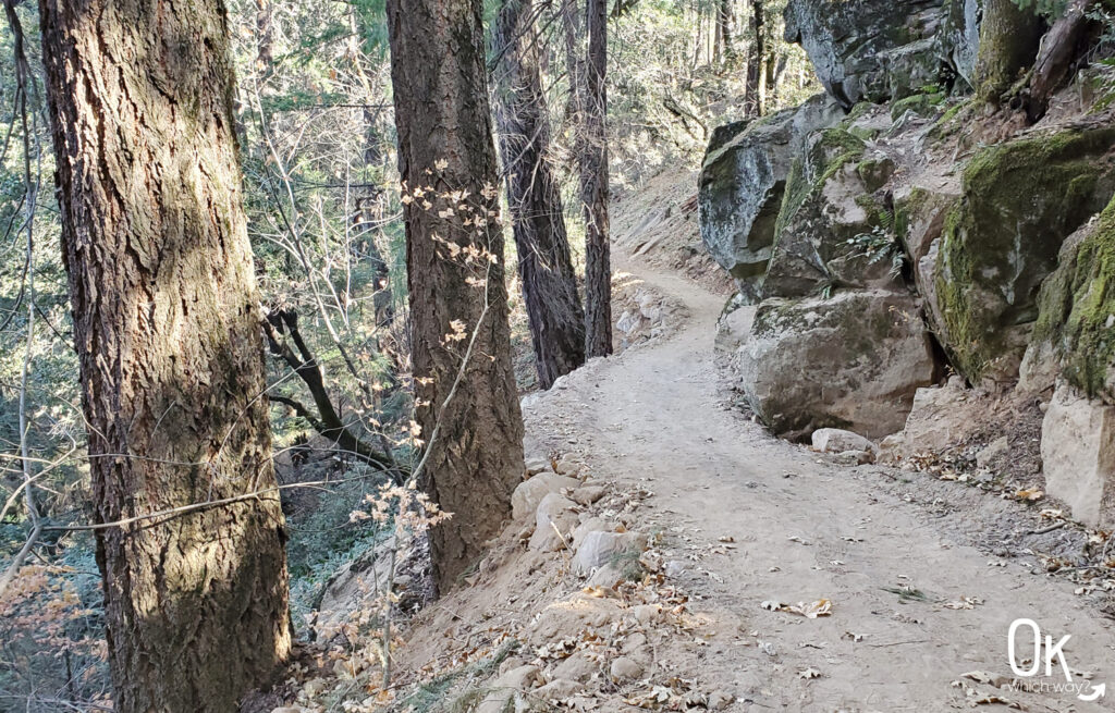 Hedge Creek Falls Trail Review Dunsmuir | OK Which Way