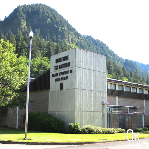 Bonneville Fish Hatchery building | OK Which Way