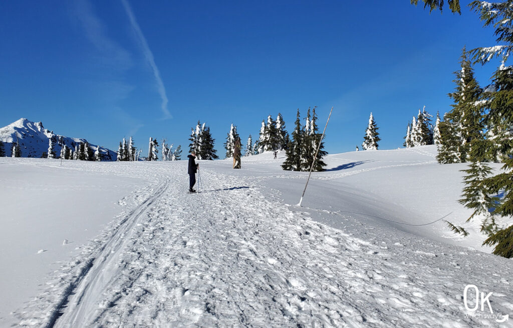 Snowshoeing Crater Lake National Park | OK Which Way