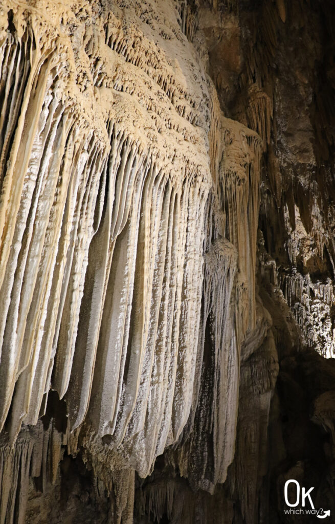 Lake Shasta Caverns | OK Which Way