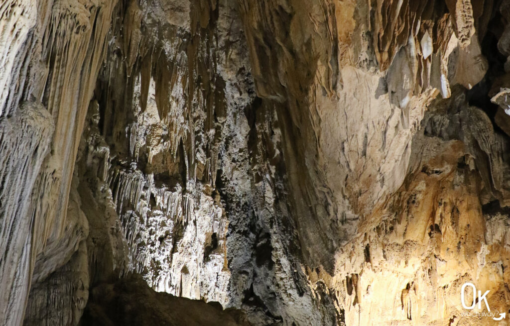 Lake Shasta Caverns | OK Which Way