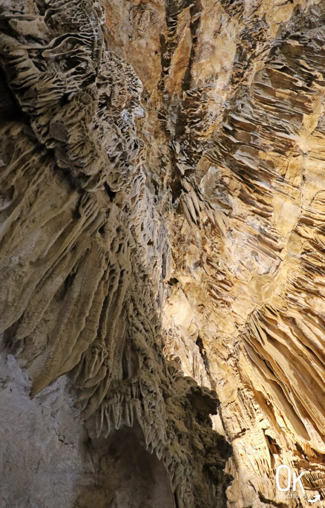 Lake Shasta Caverns | OK Which Way